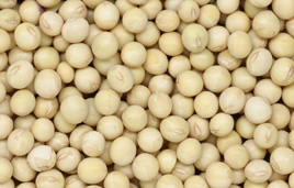 Soybeans